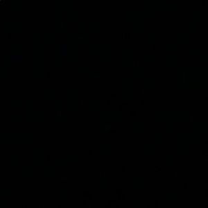 Meet your Posher, Lucy